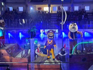 %%3E%%0A20240405_104259_resized